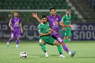 هوادار