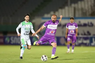 هوادار