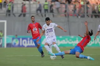 هوادار