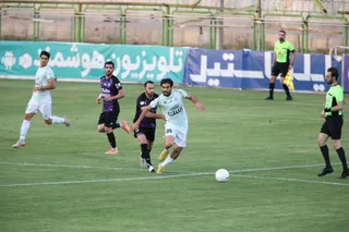 هوادار