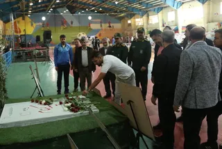 فدراسیون