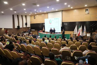 فدراسیون