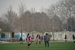 سلیمی
