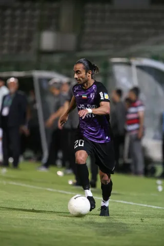 هوادار