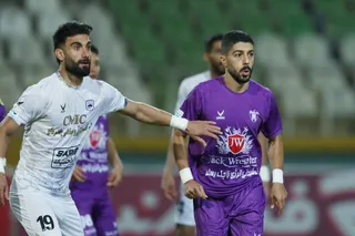 هوادار