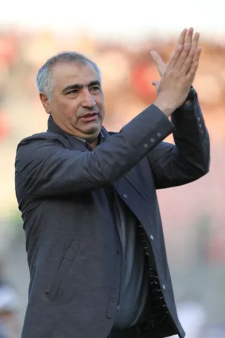 هوادار