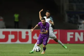 هوادار