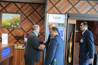 کولینا