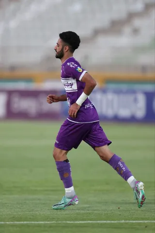 هوادار