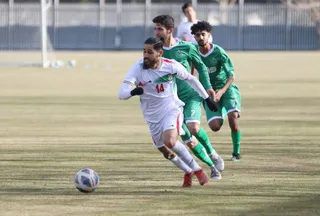 دوستانه