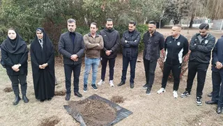 فدراسیون