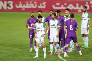 هوادار