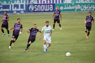 هوادار