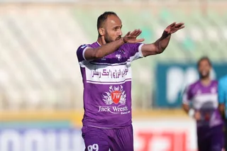 هوادار