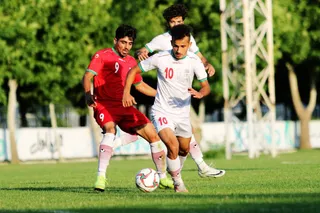 تيم اميد