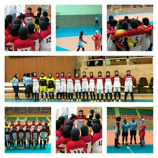 نوتاش