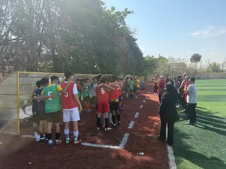 33