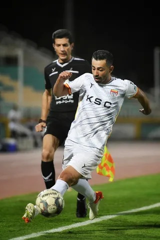 هوادار