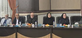 فدراسیون