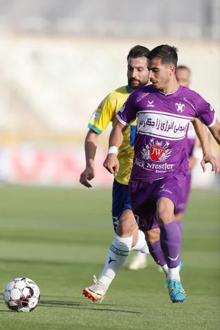 هوادار