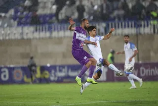 هوادار
