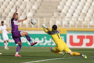 هوادار