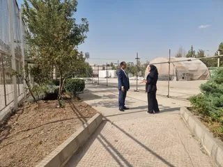 ساحلی