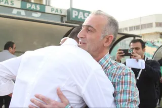 هوادار