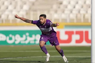 هوادار