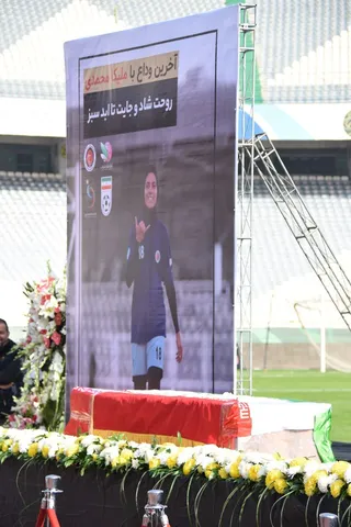 فدراسیون