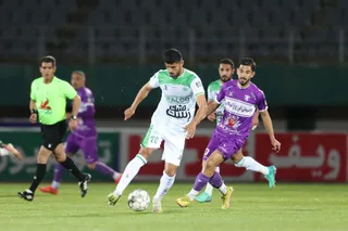 هوادار