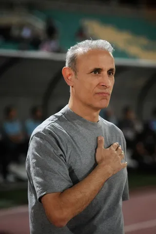 هوادار