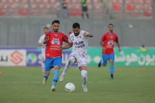هوادار