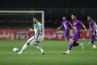 هوادار