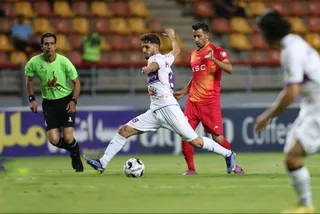هوادار فولاد
