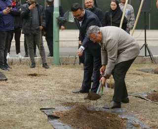 فدراسیون