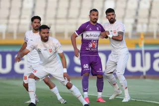 هوادار