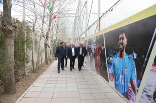 فدراسیون