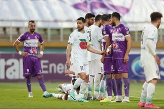 هوادار