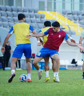 تیم ملی