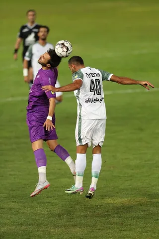 هوادار