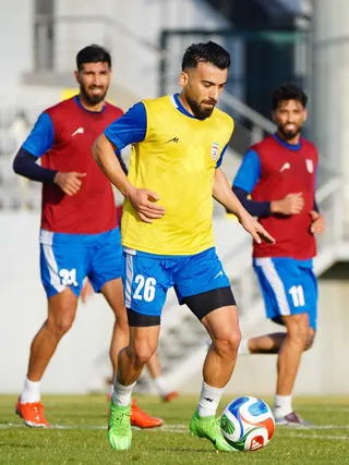 تیم ملی