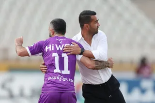 هوادار