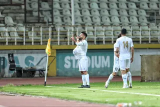 هوادار