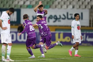 هوادار