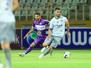 هوادار