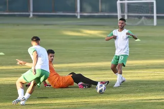 بزرگسالان