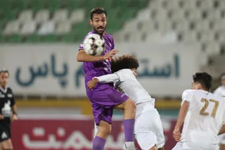 هوادار