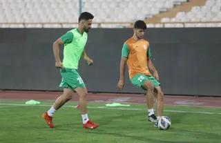 تیم ملی