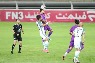 هوادار